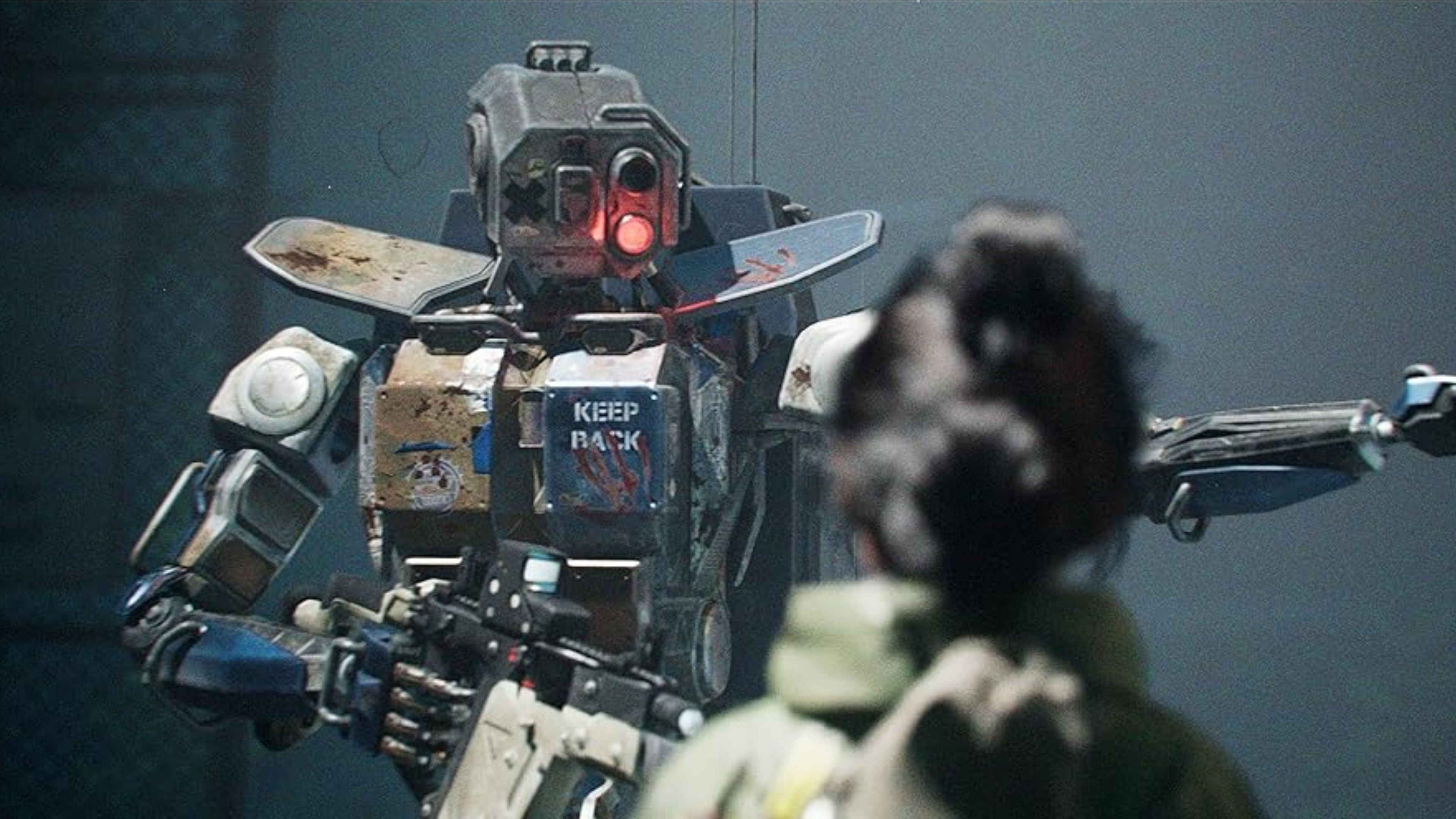 Firmware (2024)