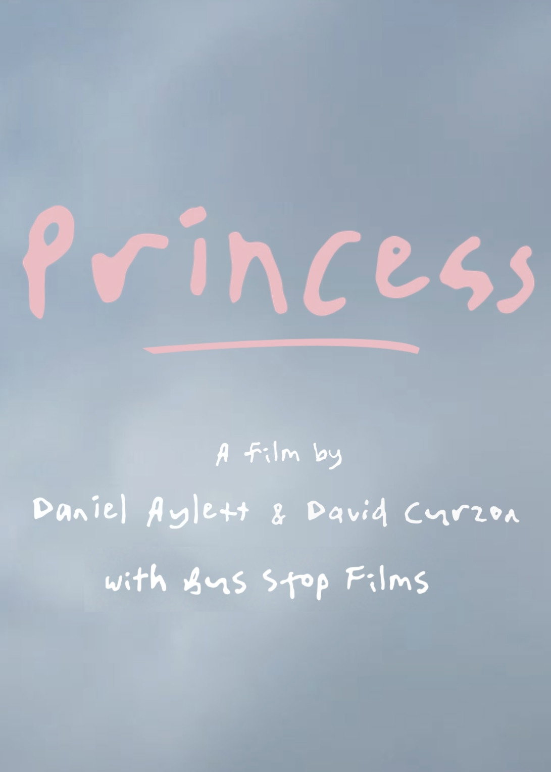 Poster of Princess