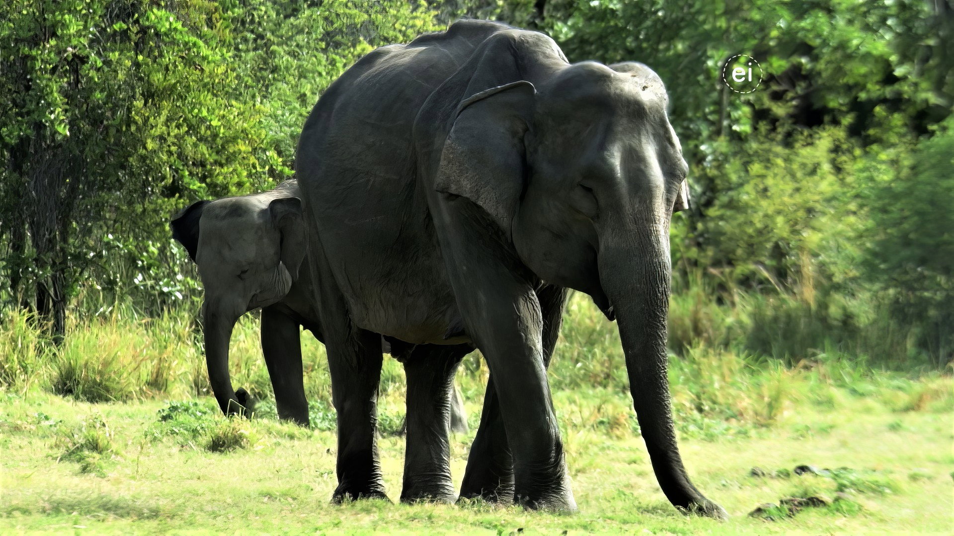 Earth Odyssey with Dylan Dreyer S04E05 backdrop