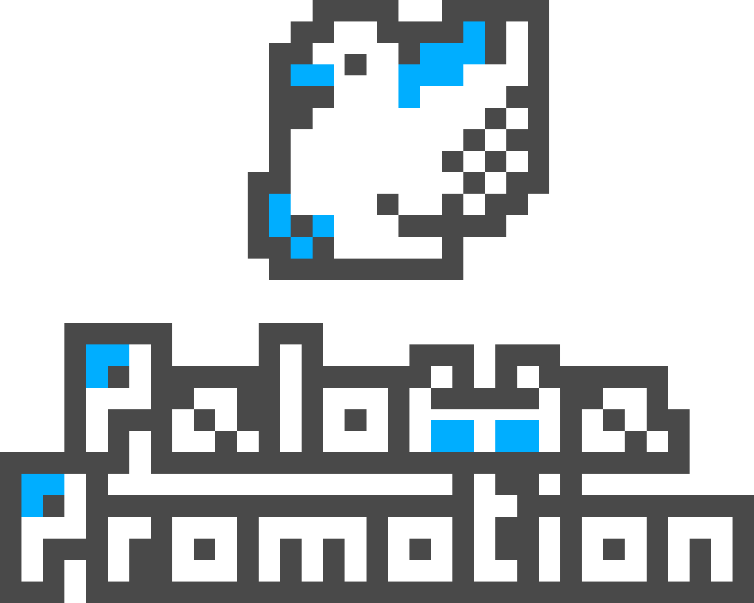 Paloma Promotion