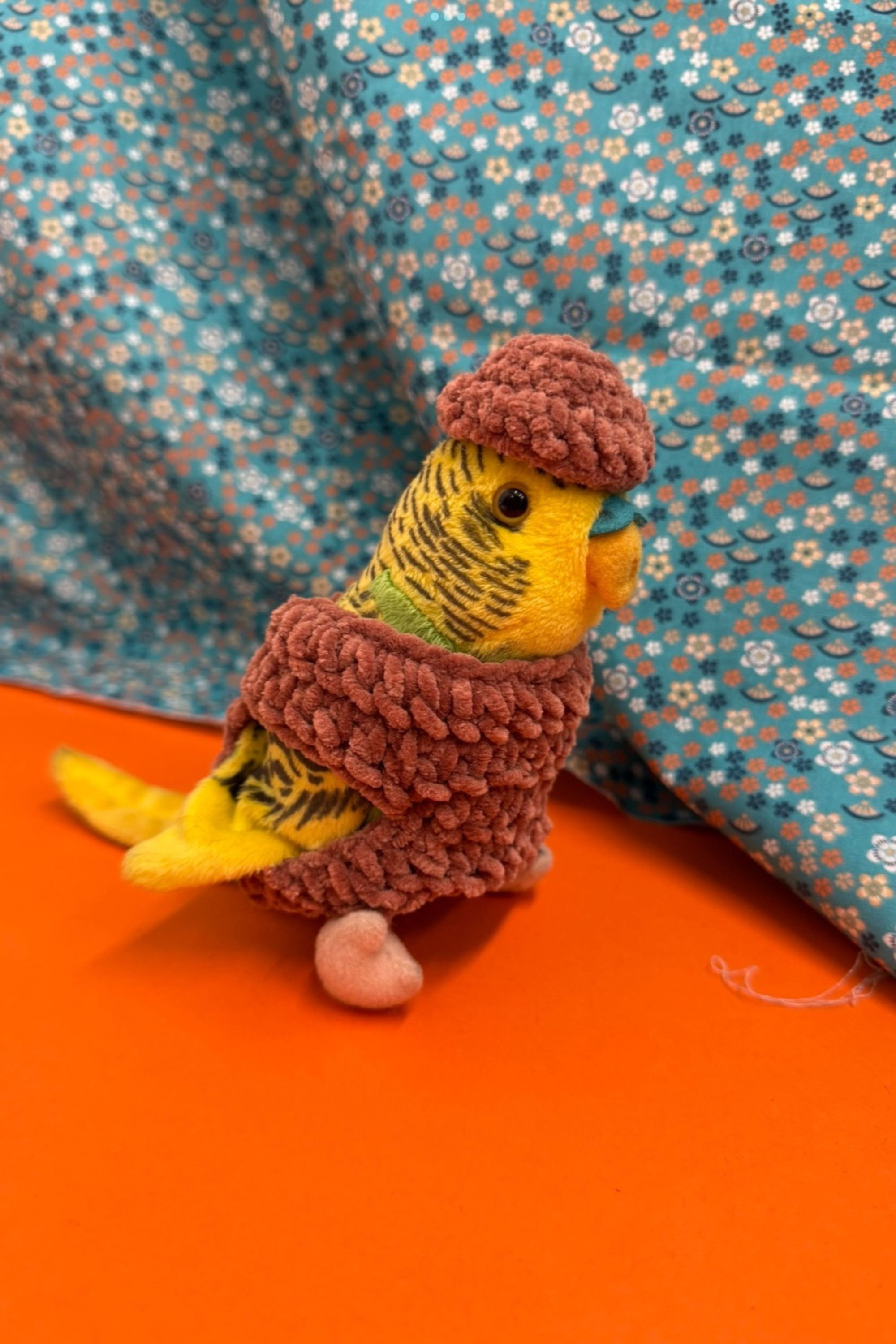 piet fotoğraf 2