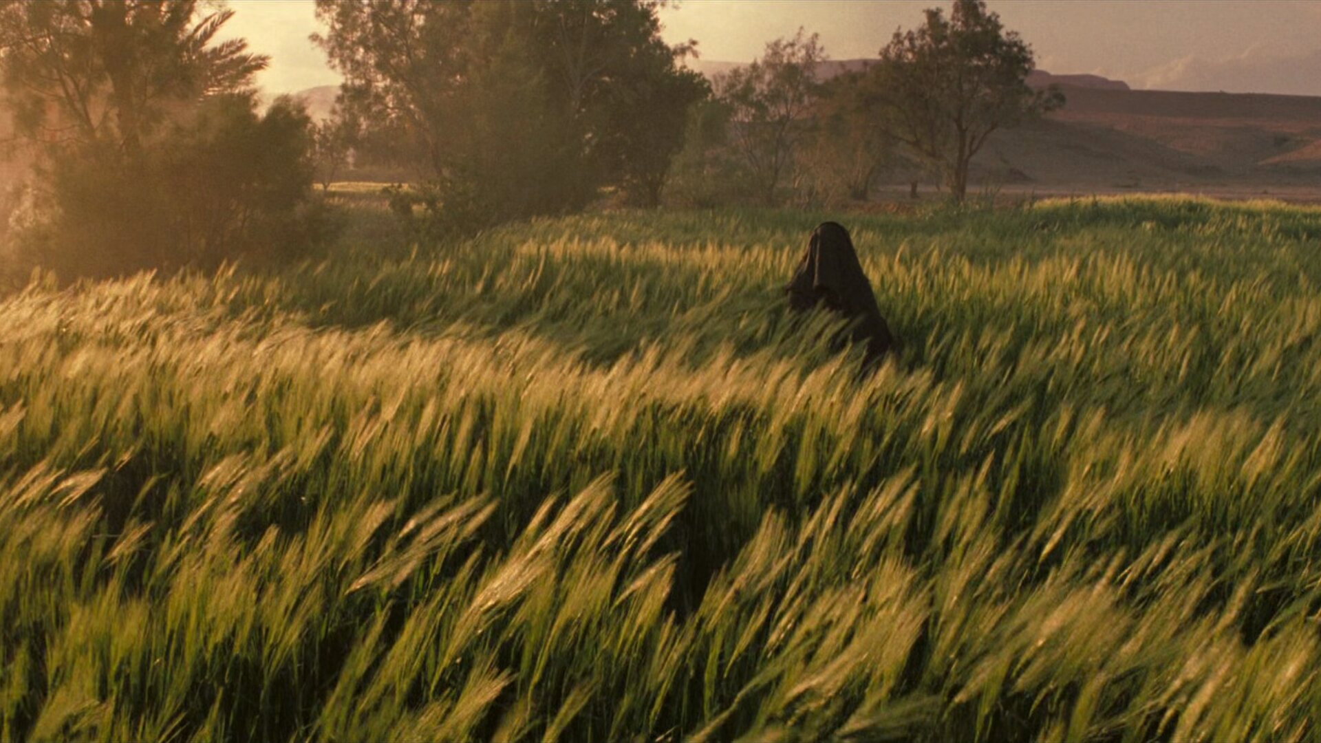 Kingdom of Heaven