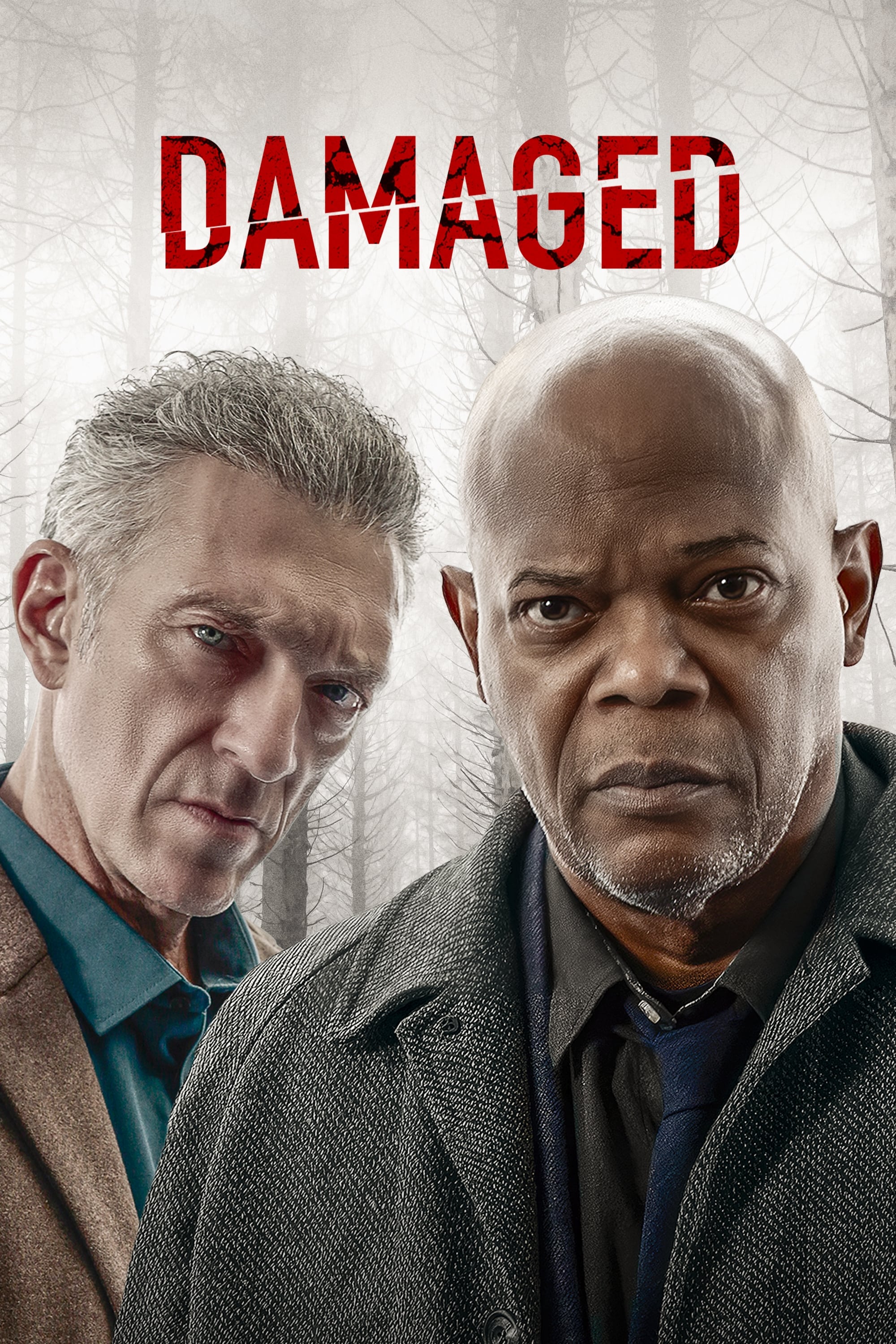 poster for Damaged