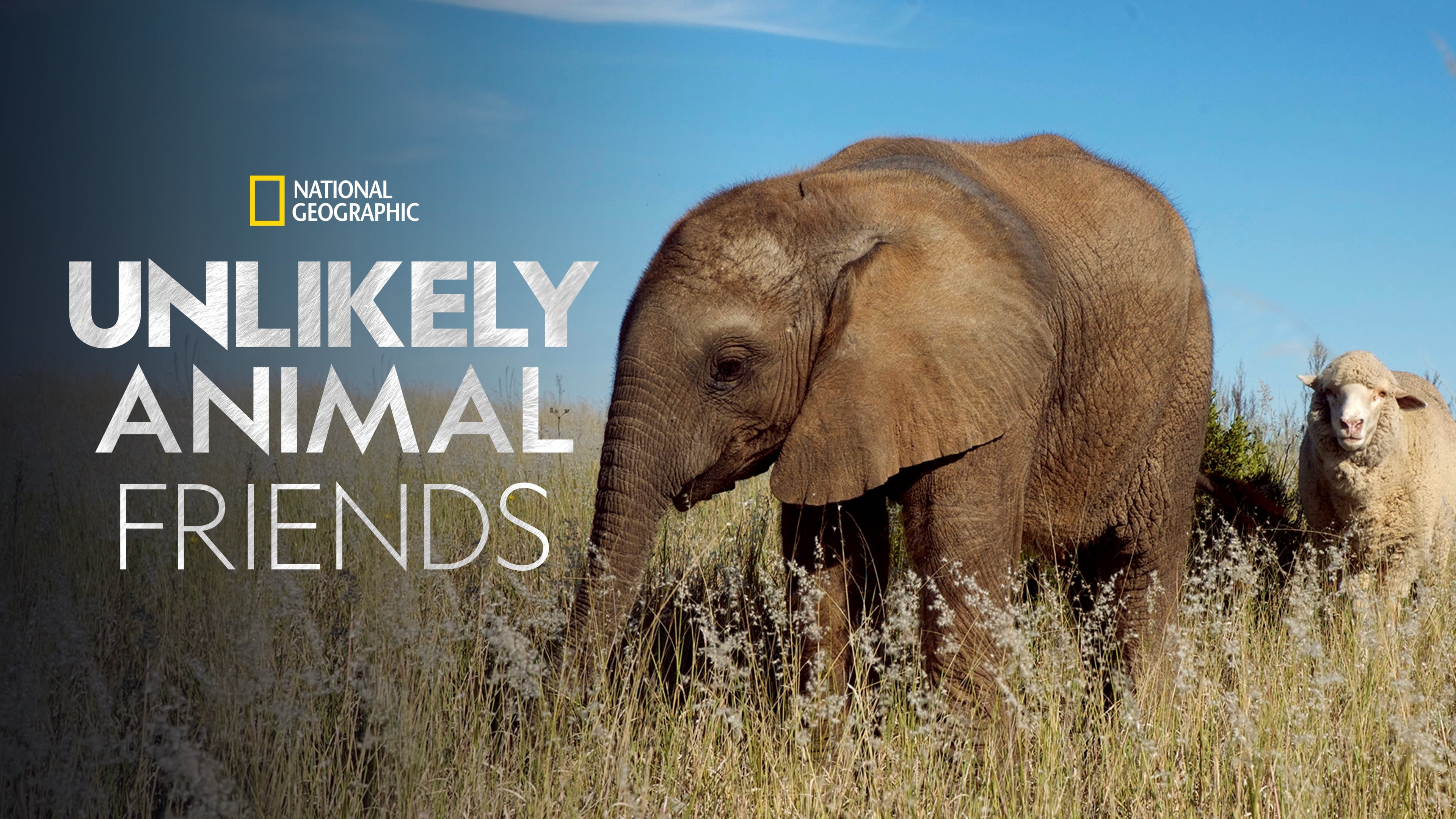 Unlikely Animal Friends - Season 2