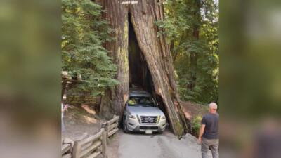 Road Wars (2022) S04E03 backdrop