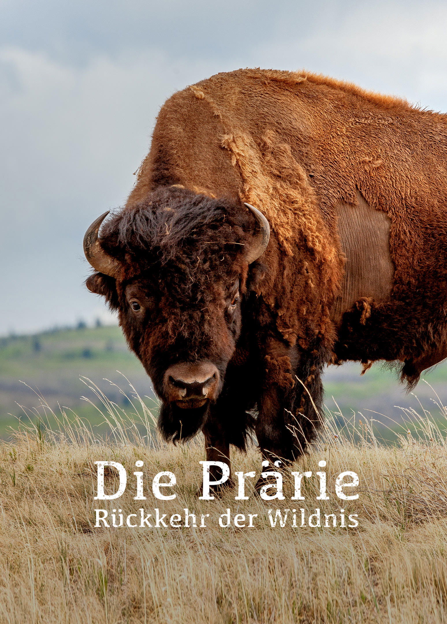 The Prairie; Return of the Wild