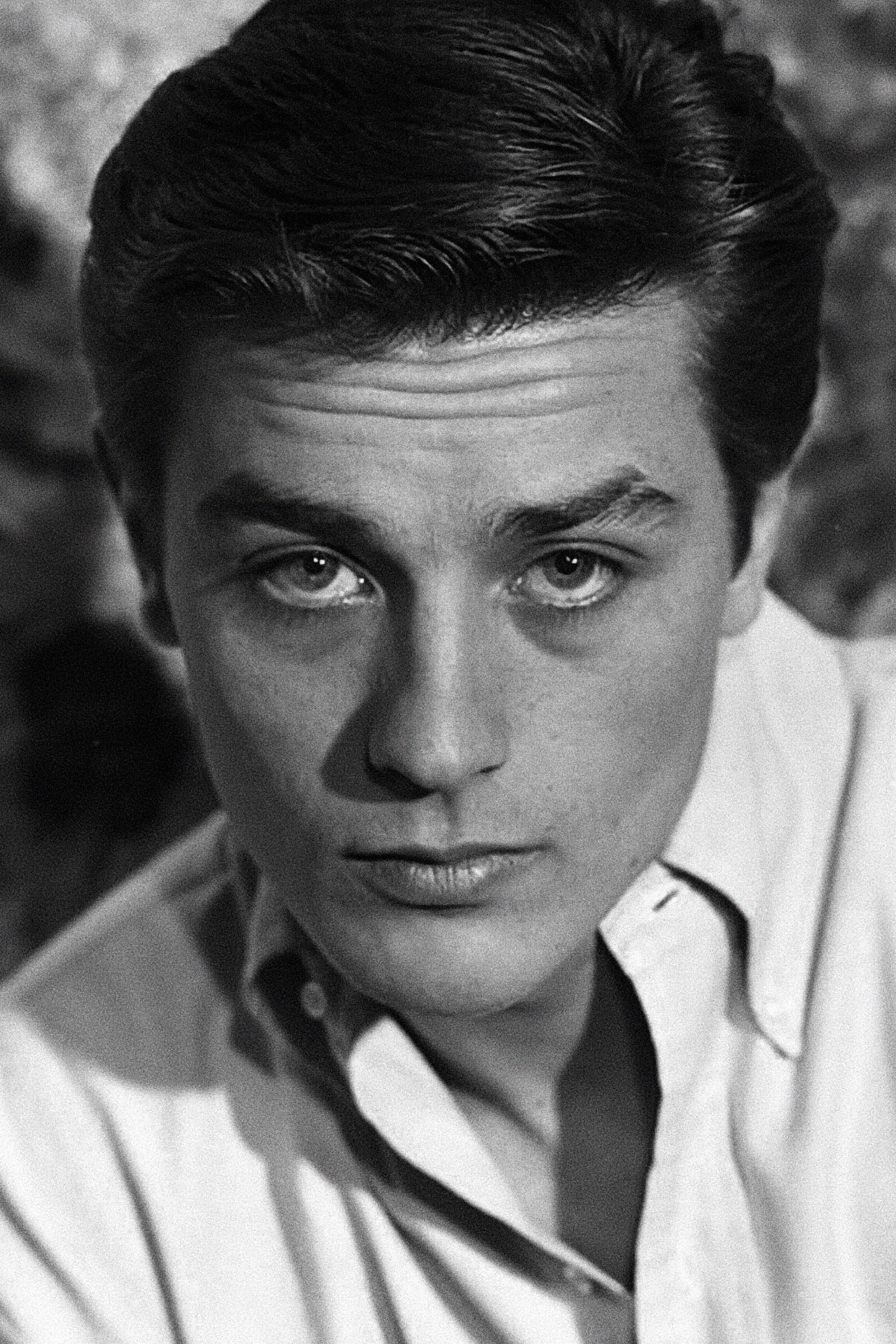 et billede af Alain Delon