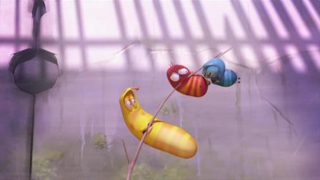 Larva