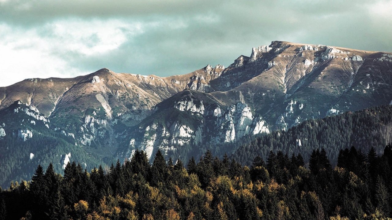 România neîmblânzită