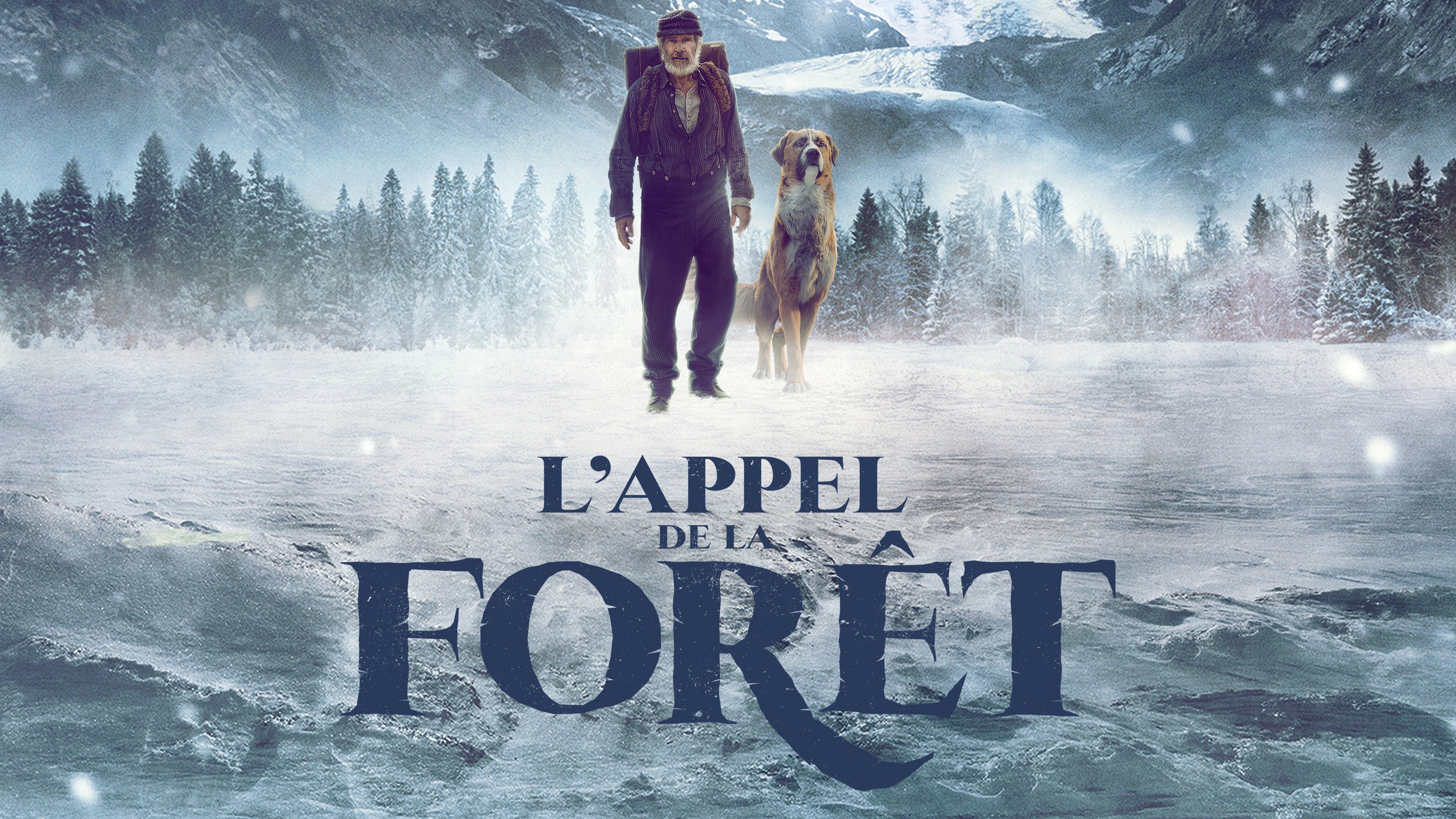 Image du film L'Appel de la forêt u5hixaefzou1ihlfxi8ujuqwj1fjpg