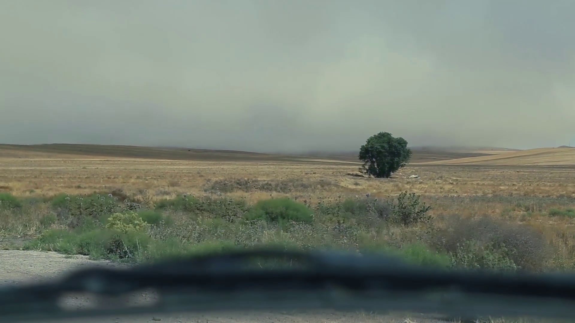 And Kiarostami Goes On (2018)