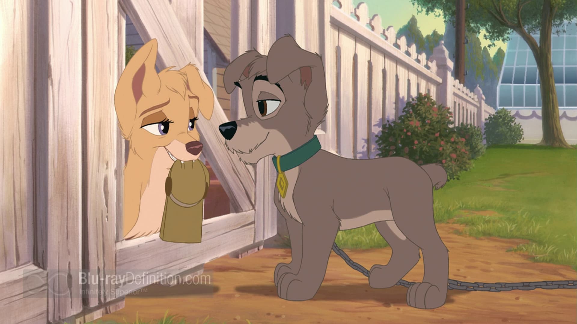 Lady and the Tramp II: Scamp's Adventure