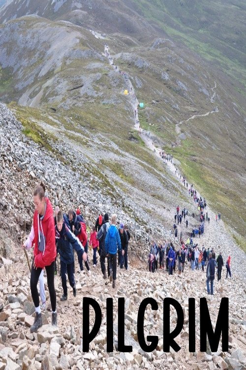 Content cover