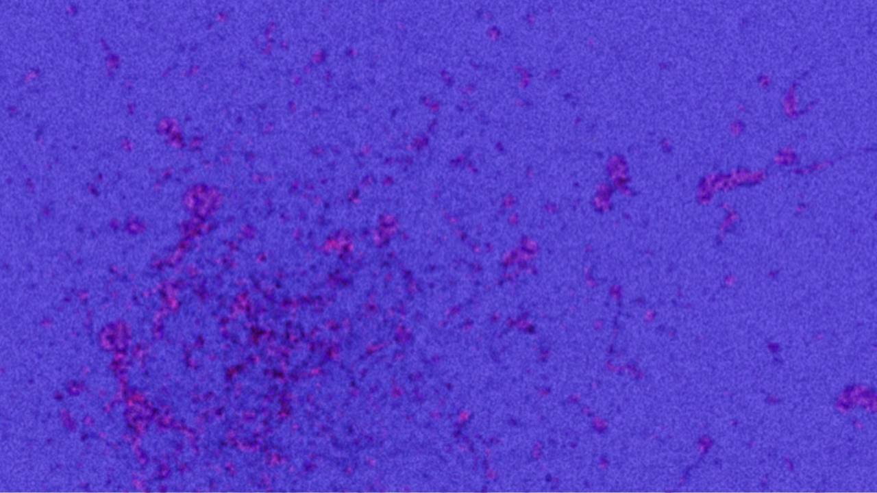 BE - VOLUME ONE Backdrop Blur