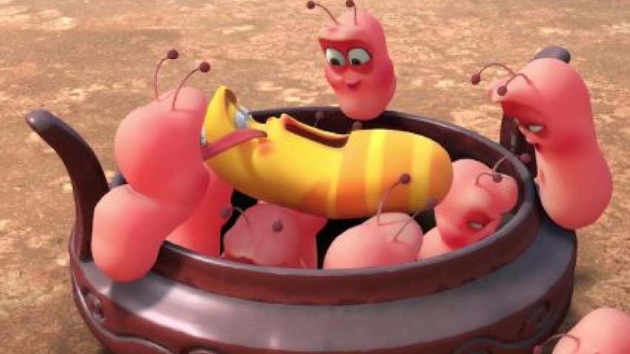 Larva