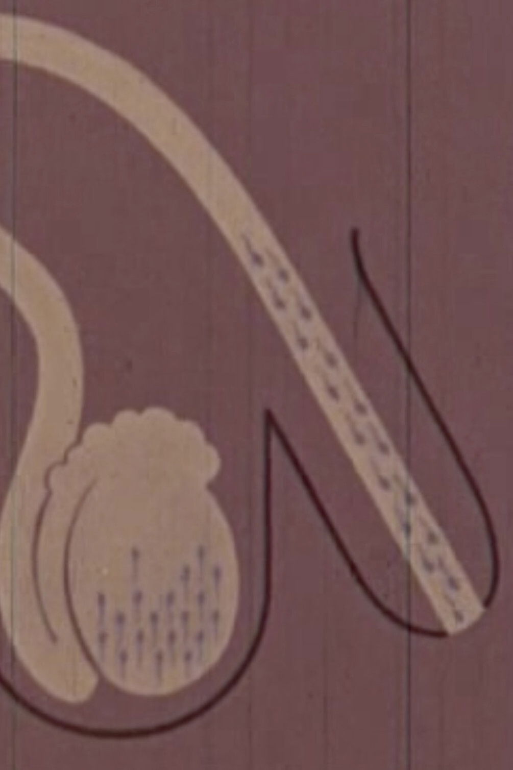 Human Growth: Second Edition streaming