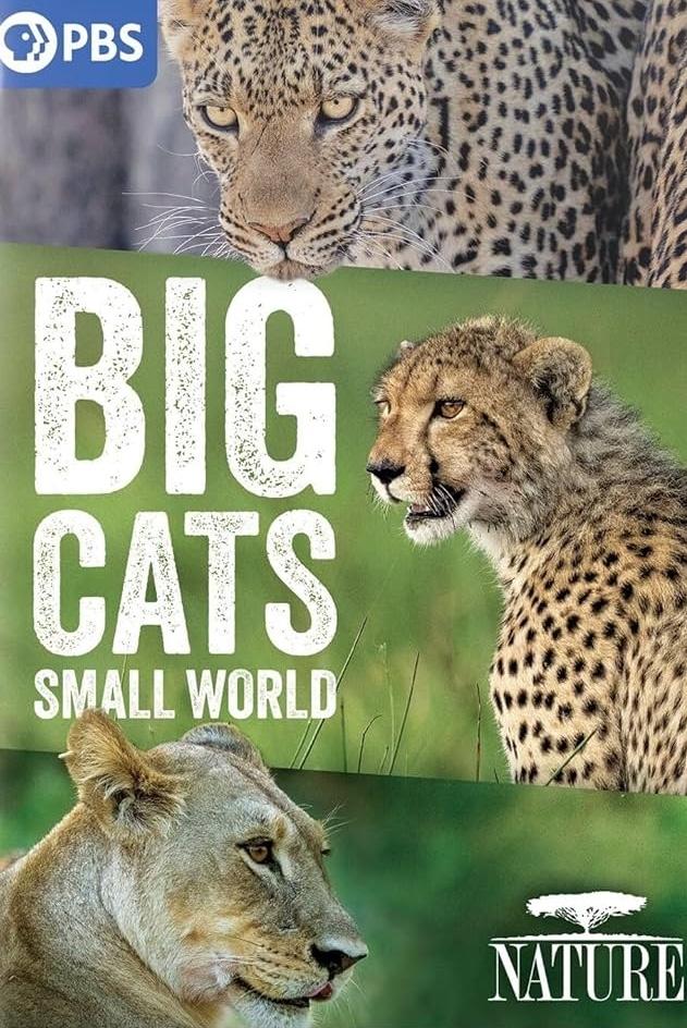 Big Cats, Small World - Season 1