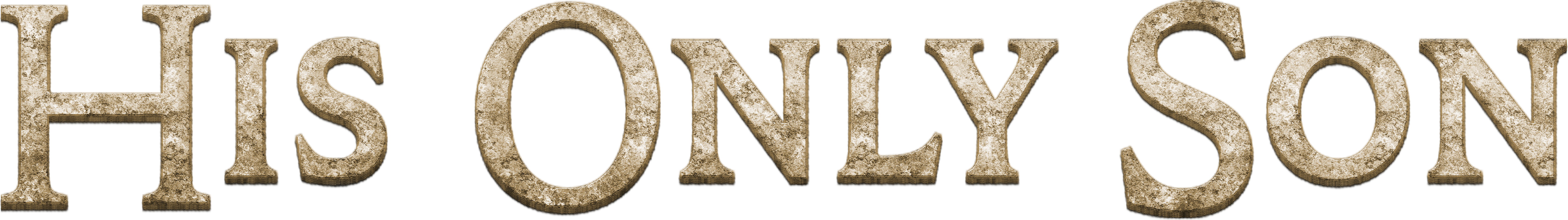 His Only Son Logo