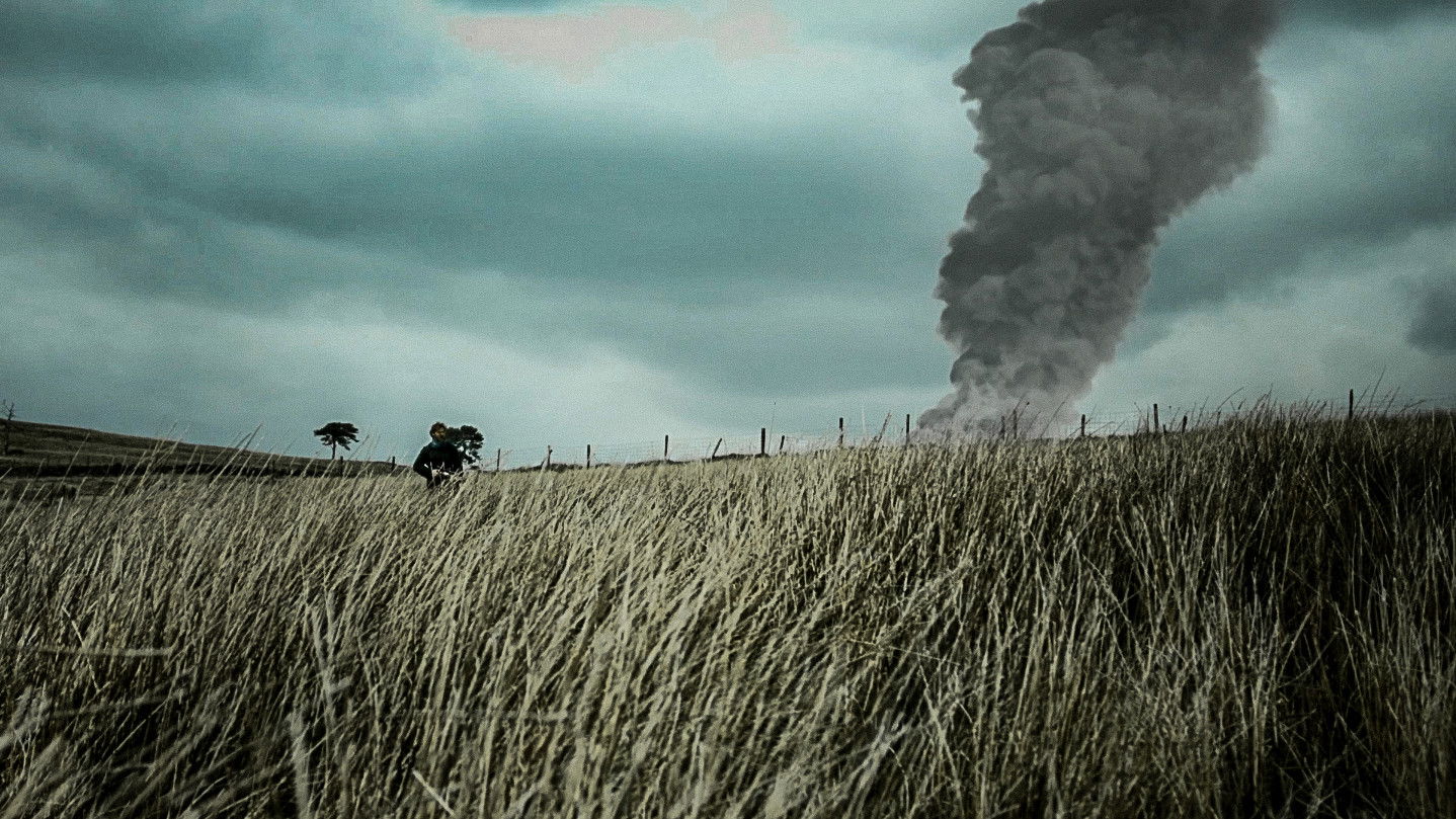 A Hollow Tree (2023) Plex