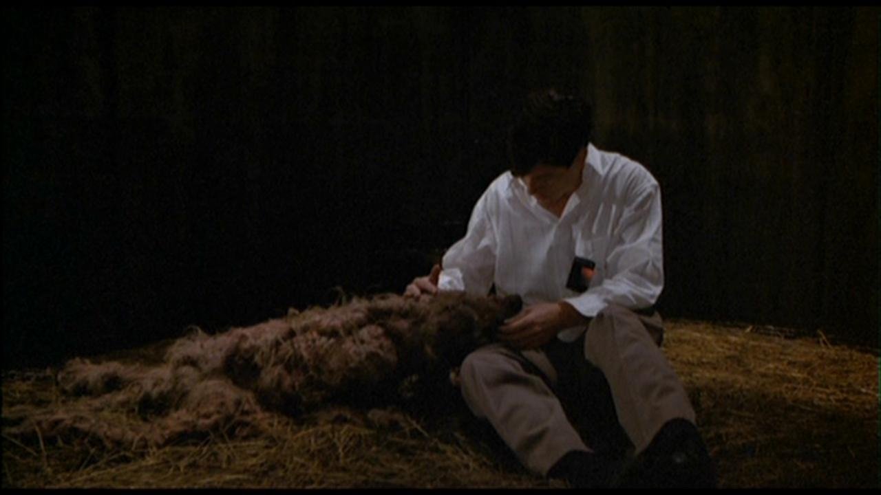 The Fly II