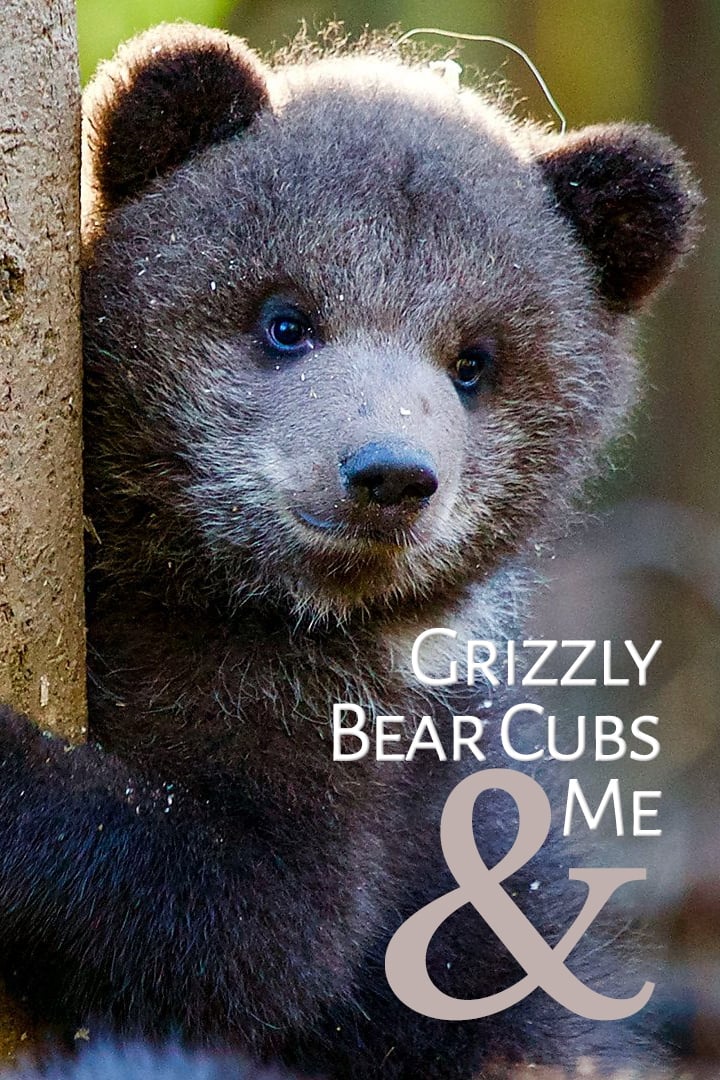 Grizzly Bear Cubs and Me TV Shows About Natural History