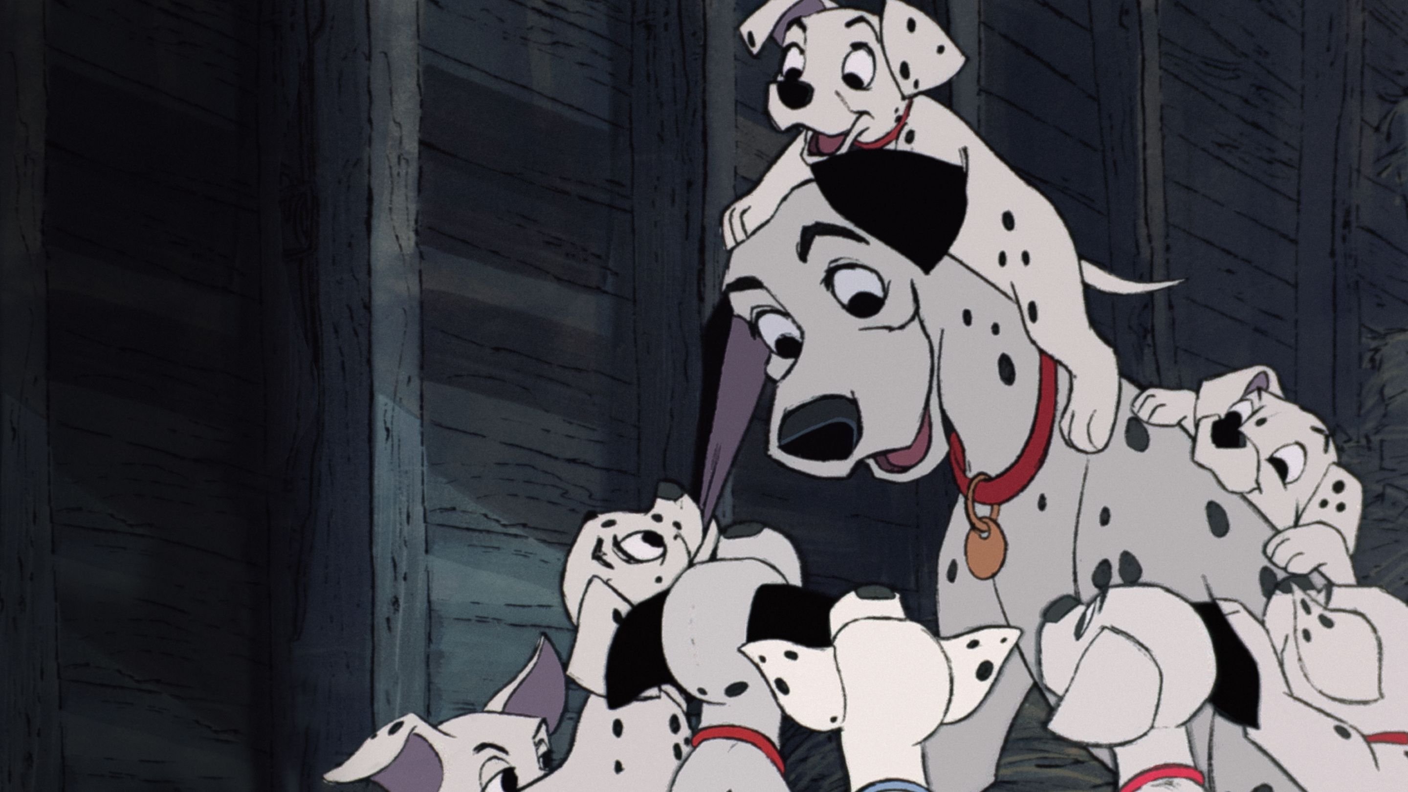 Pongo und Perdita