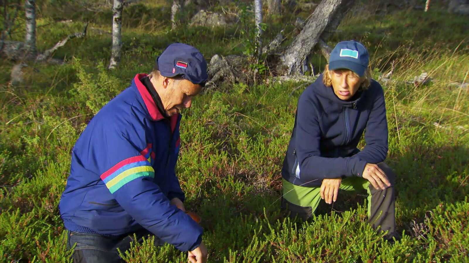 Robinson Staffel 20 :Folge 37 