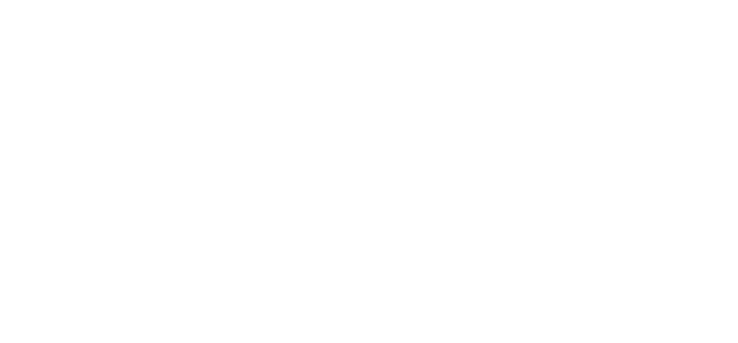 Bluey Logo