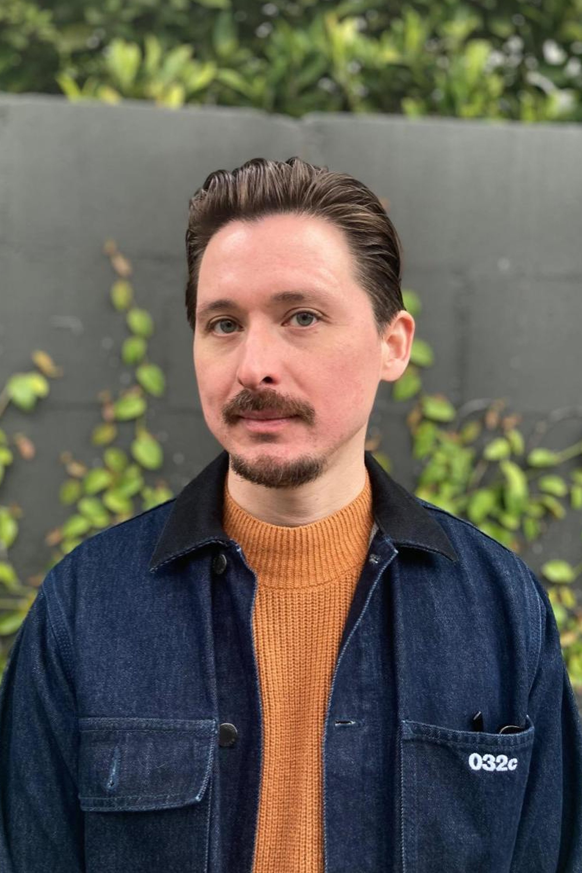 et billede af Walter Scott