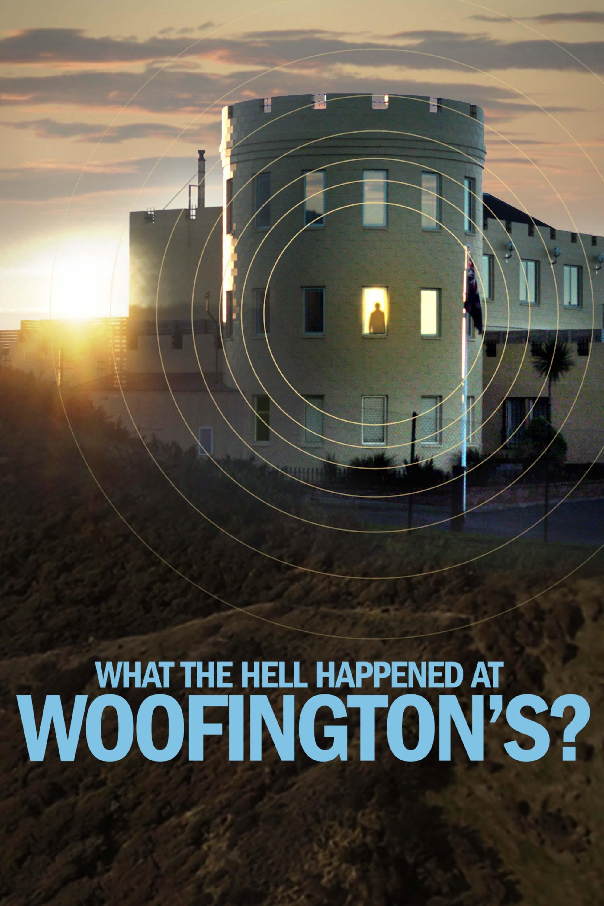 poster tv What the Hell Happened at Woofington's?