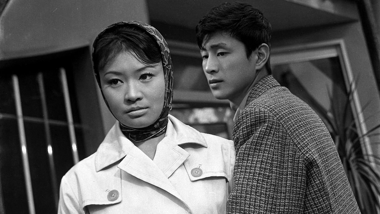 Flowers in the rain (1960)