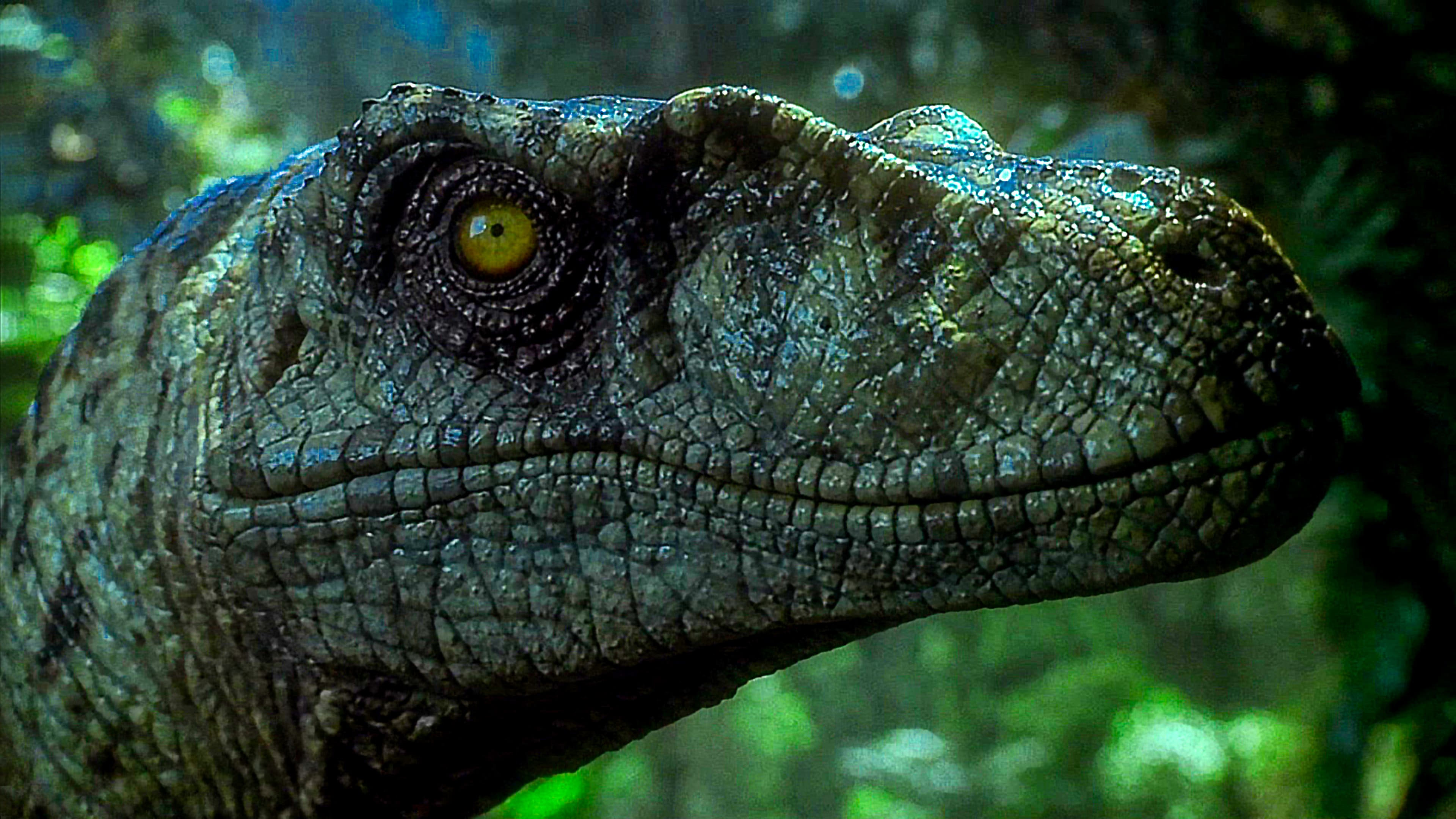 Image du film Le Monde perdu : Jurassic Park ugv12sqjsrdwwlz4aws9zxb0gq7jpg