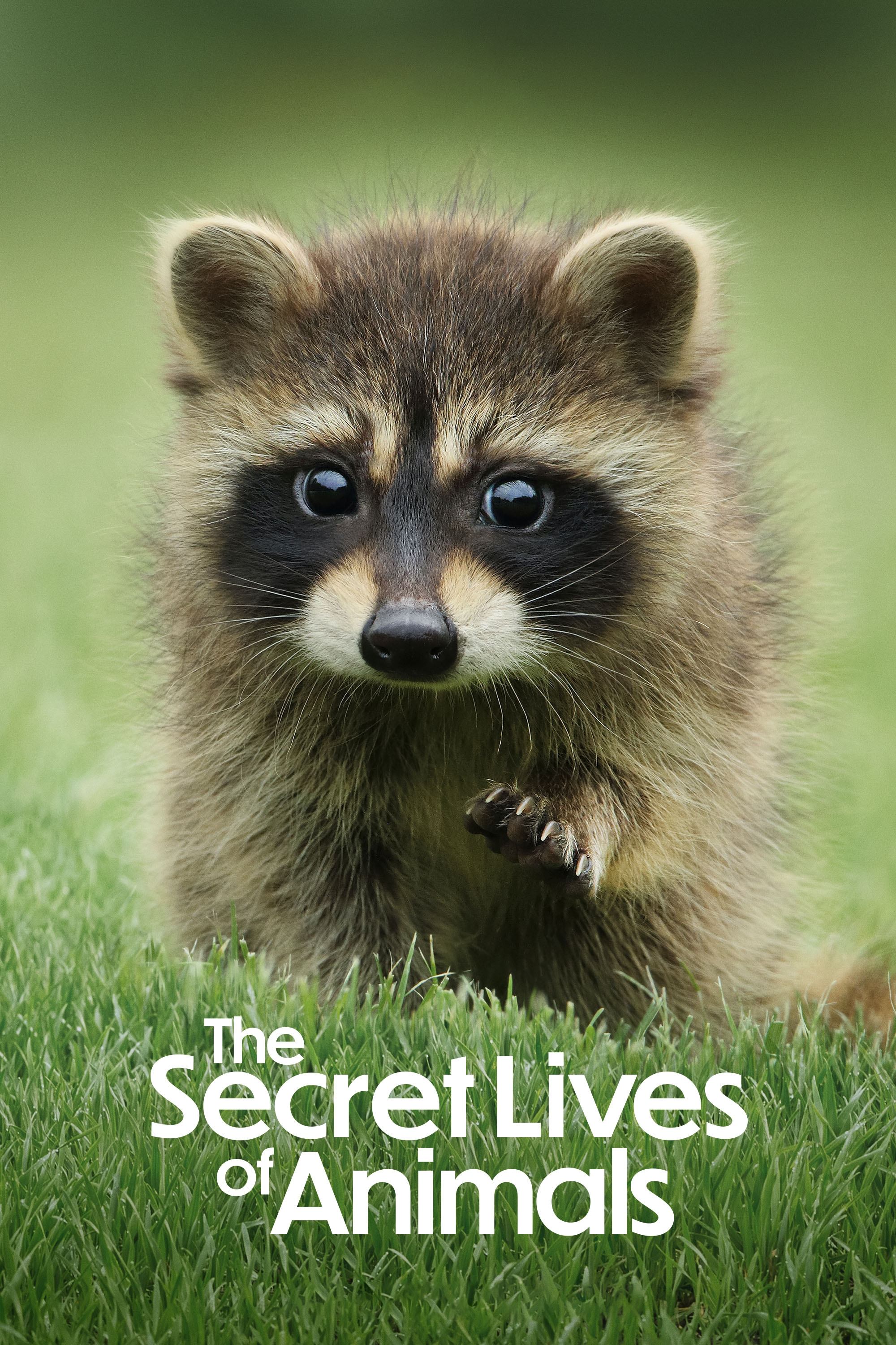 La vida secreta de los animales (2024)
