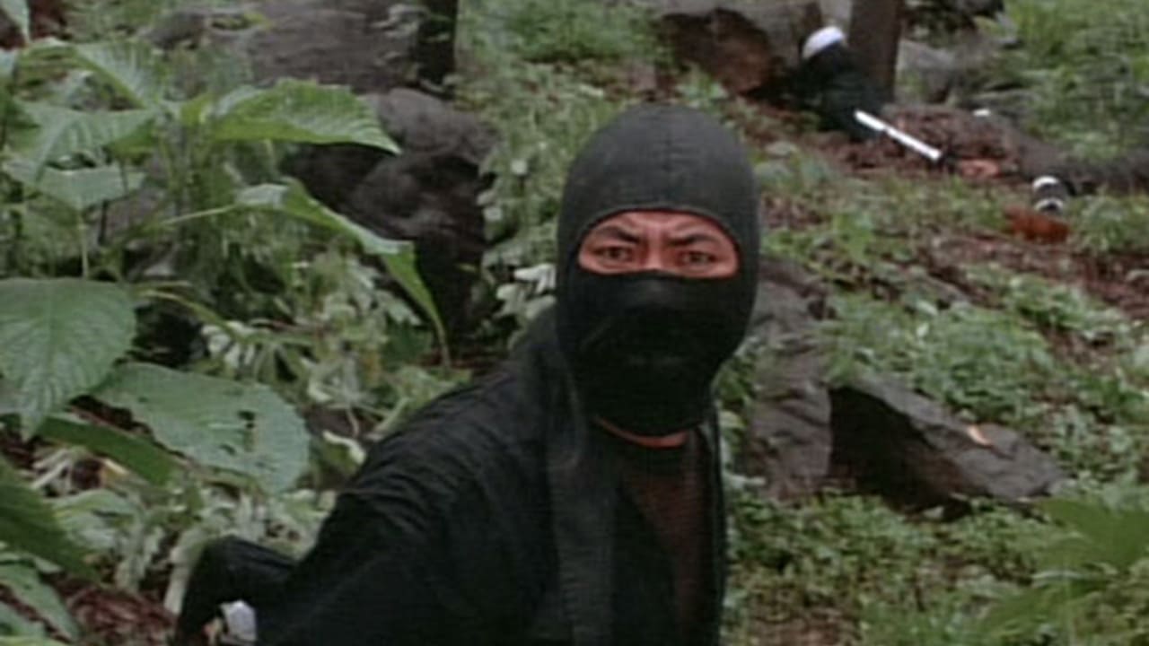 Image du film American Ninja uhafckmom6thxl563qmwmylnukmjpg