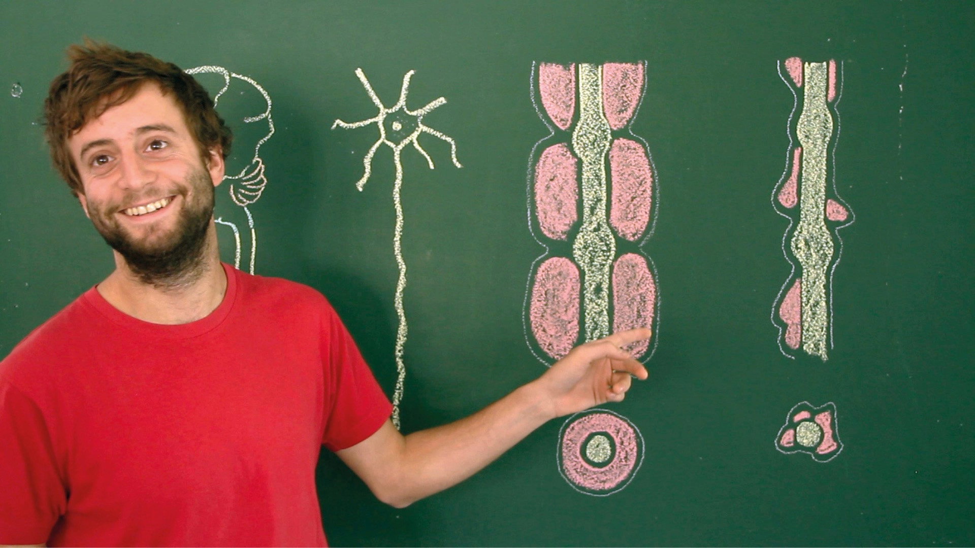 Toubib, 12 années dans la vie d'un étudiant en médecine