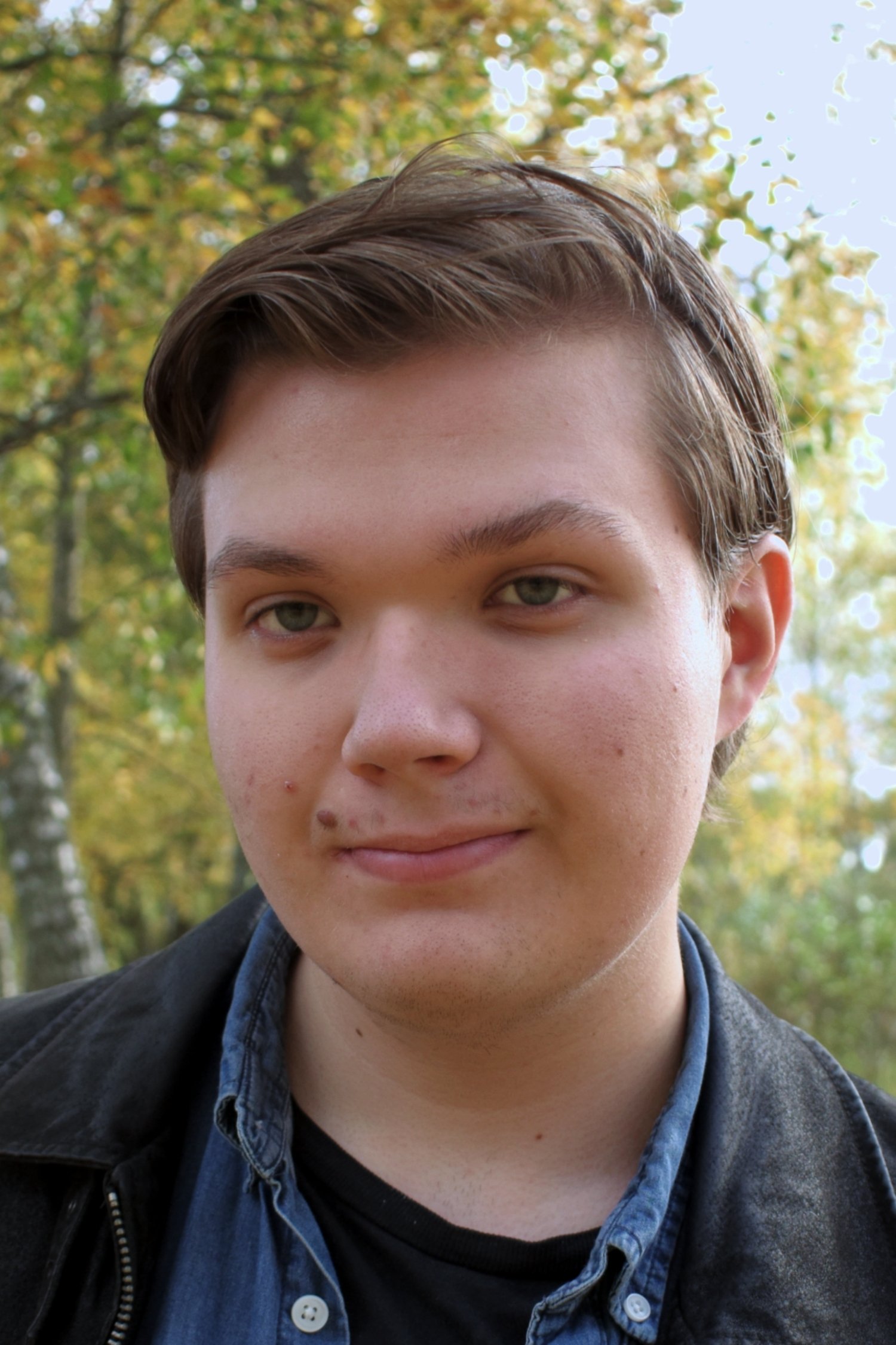 Ville Salonen | Actor