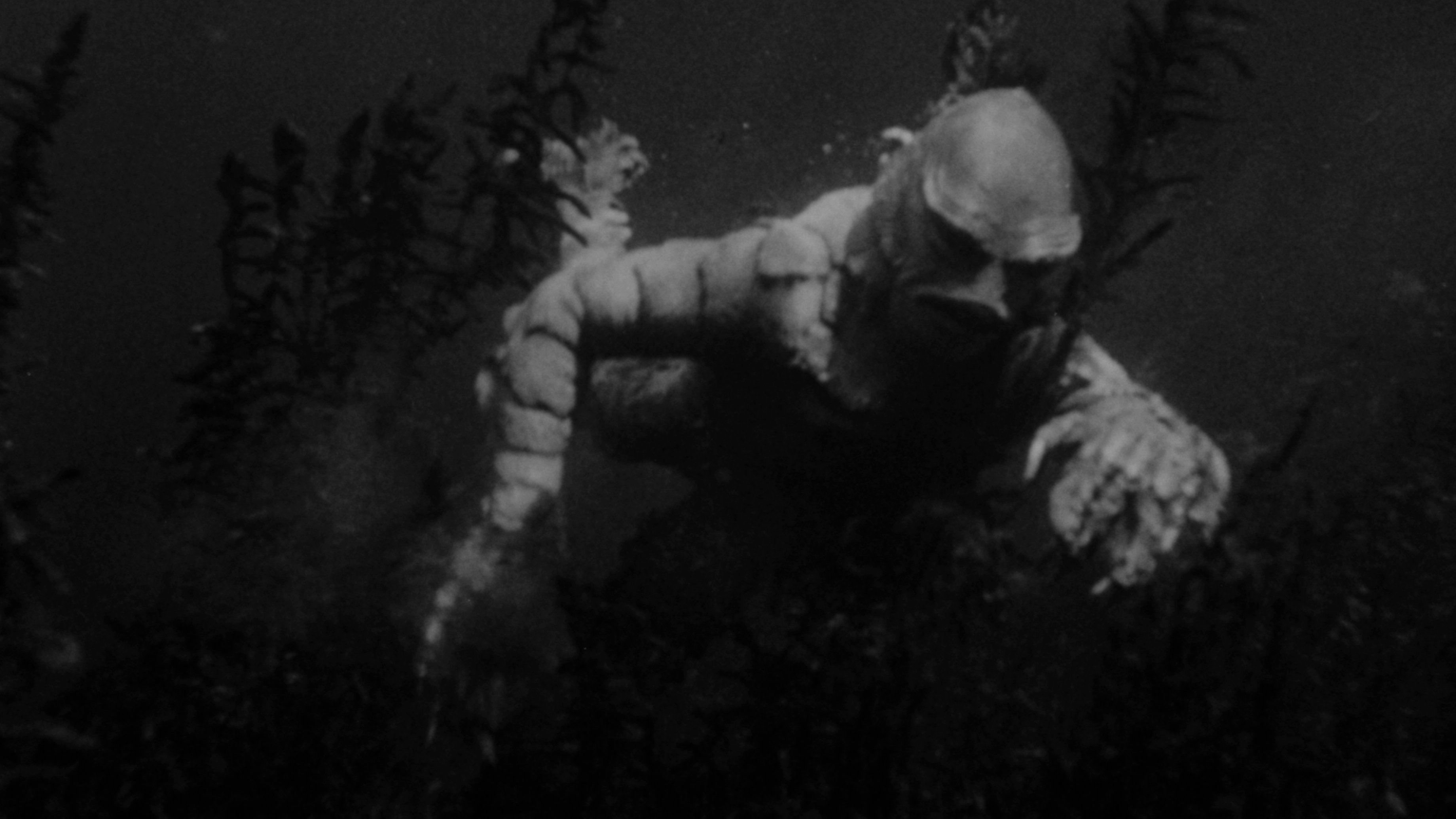 Creature from the Black Lagoon