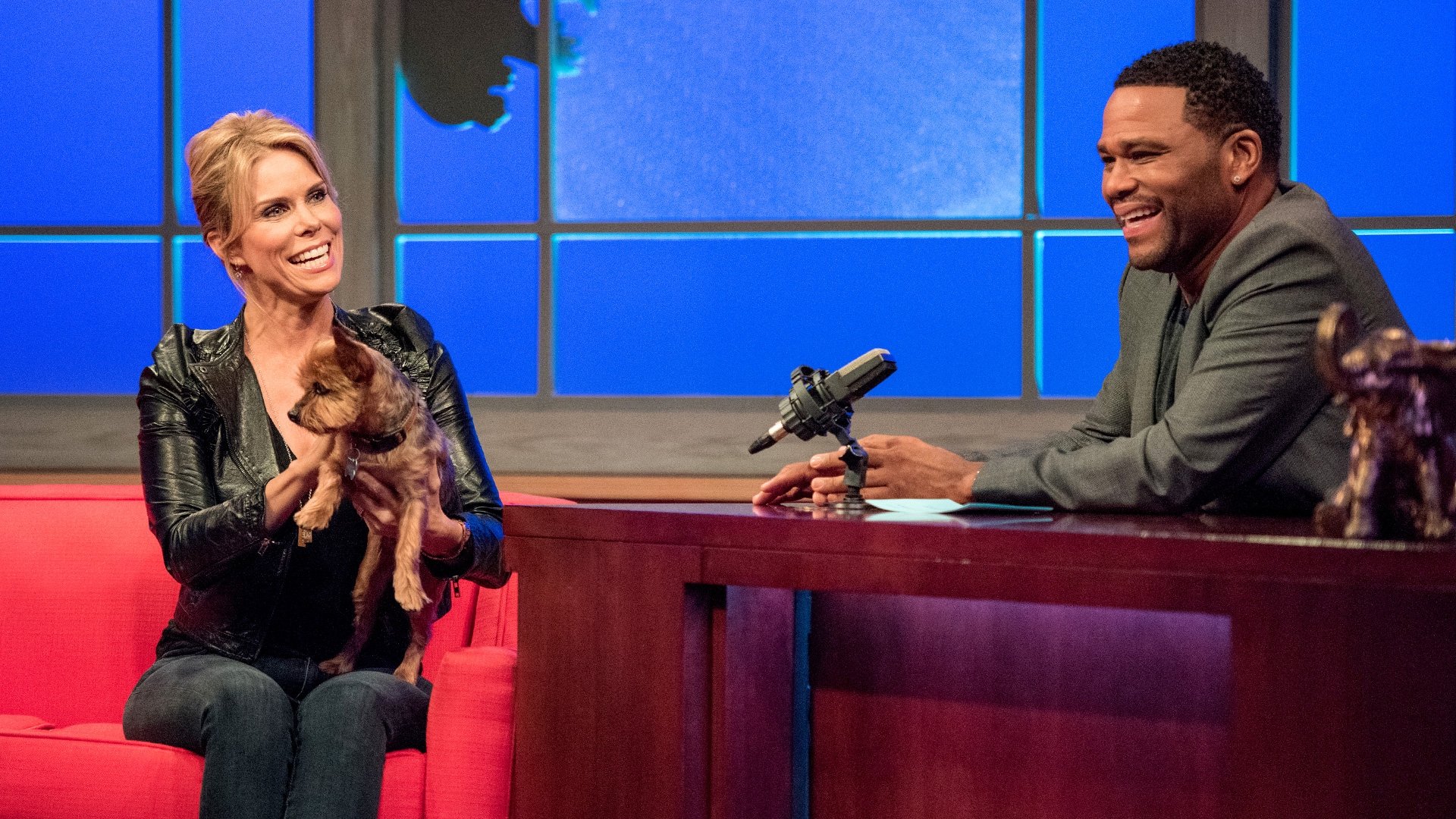 Thumbnail for Cheryl Hines; Dan Cummins; A Baby Camel Season 1 Episode 4