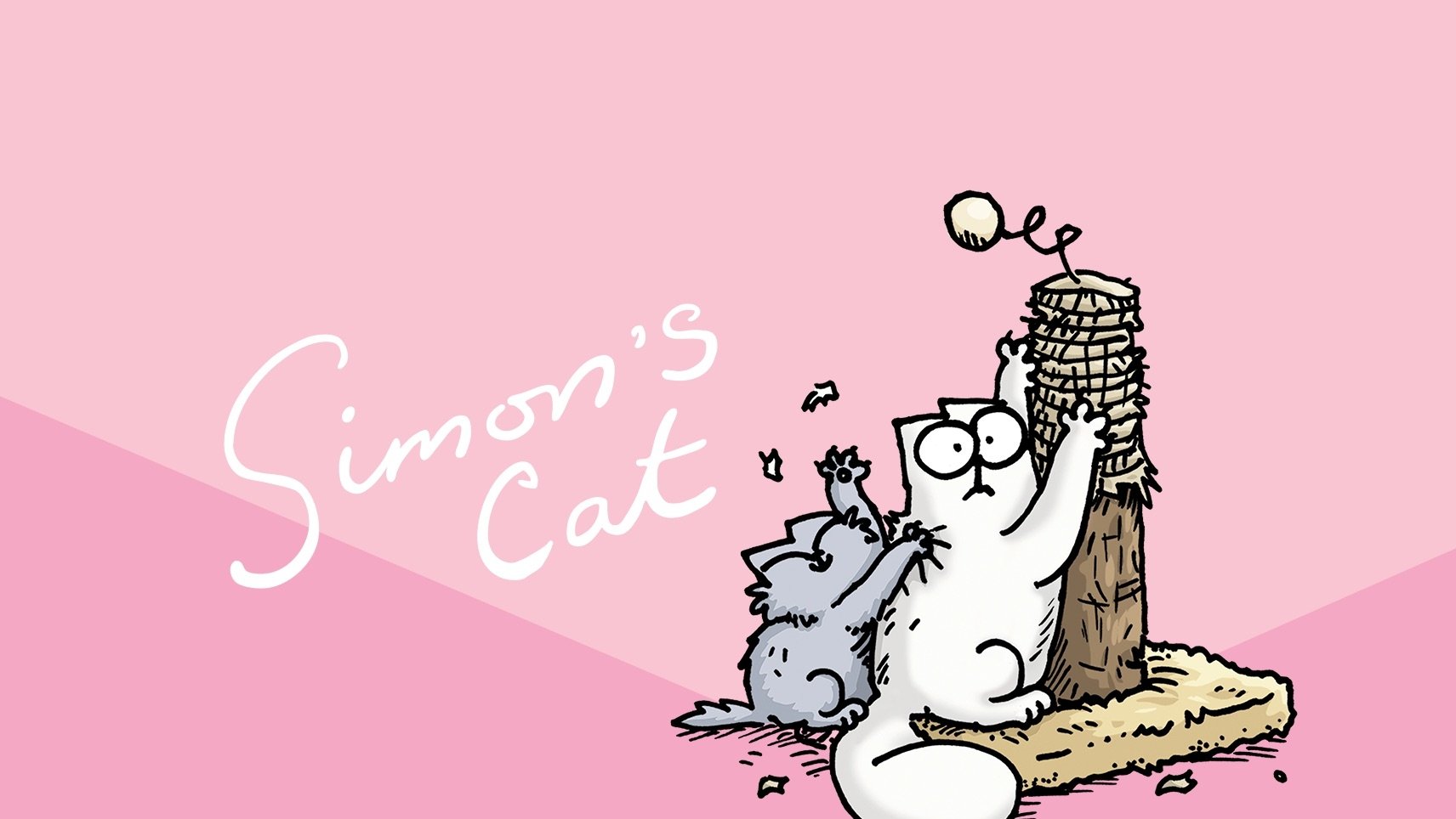 Simon’s Cat