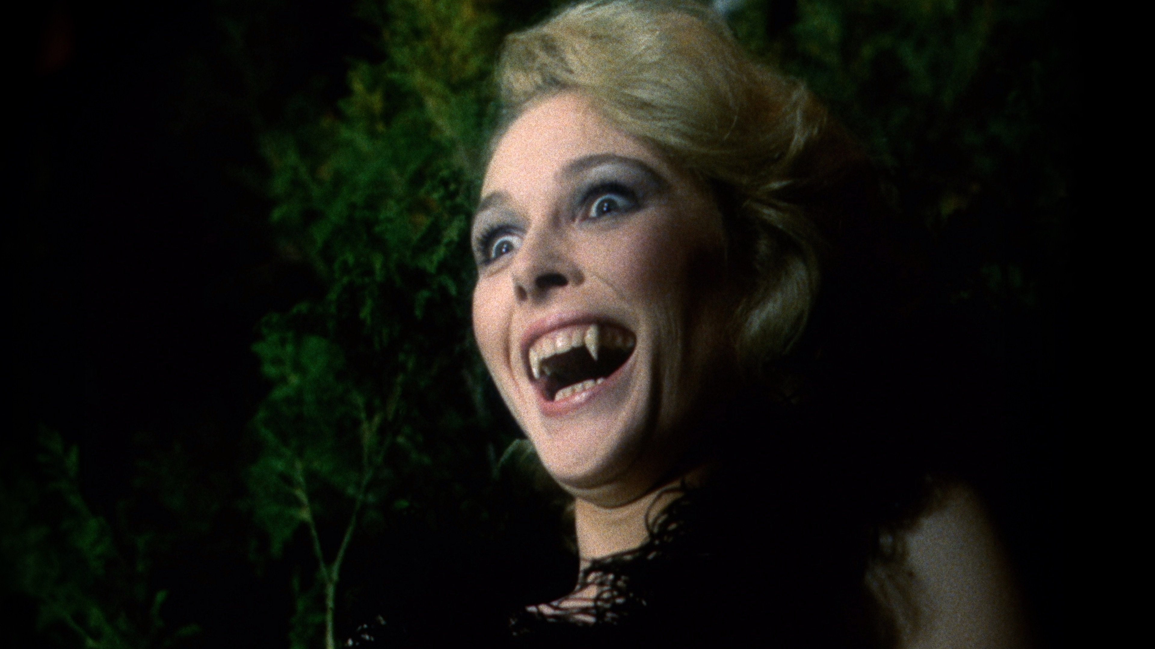 I Like Bats (1986)