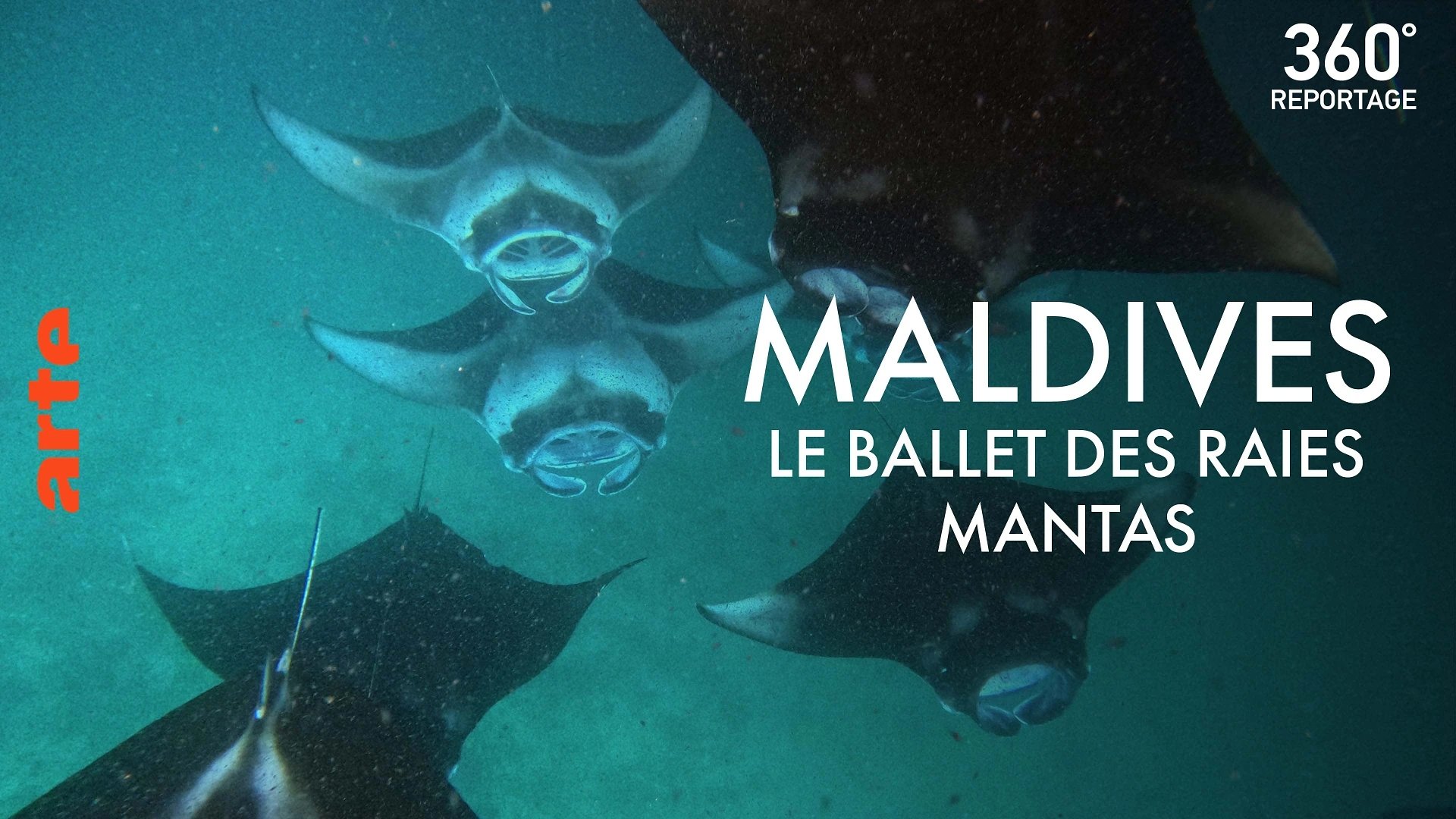 360° - Die GEO Reportage