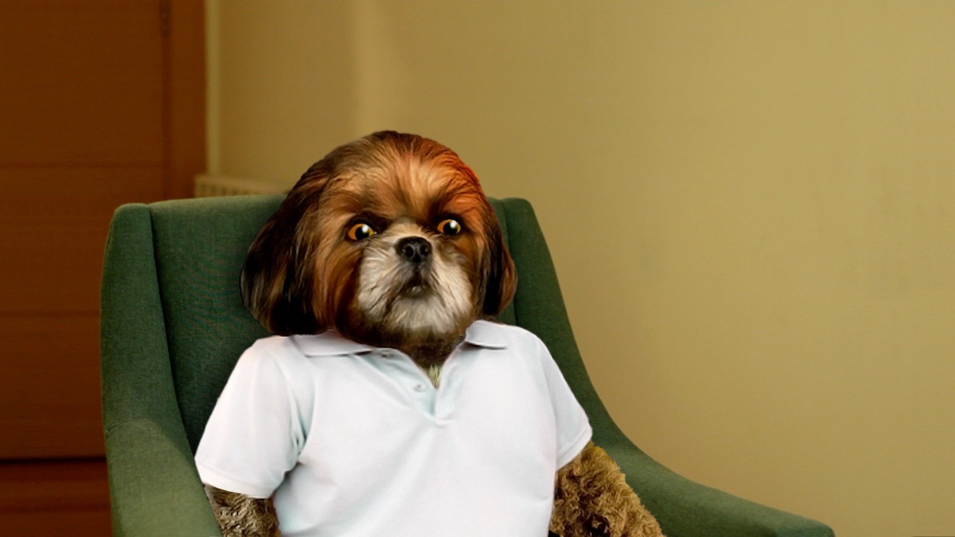 Thumbnail for Episode 1 Season 1 Episode 1