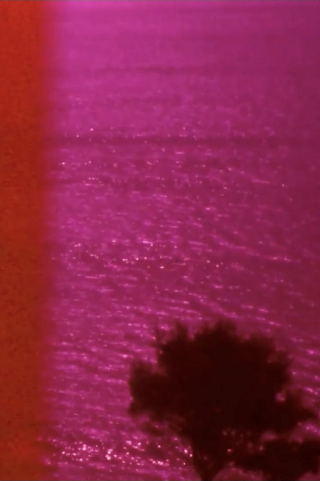 Eurydice in the Underworld