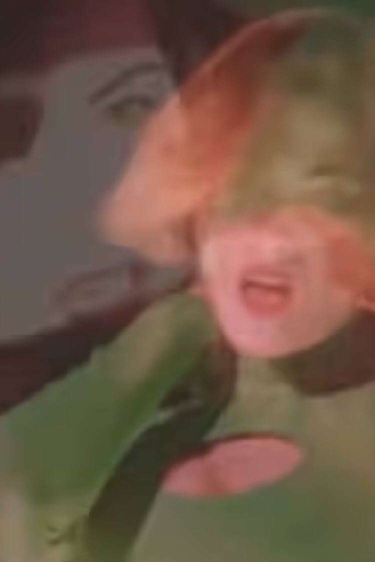 Content cover