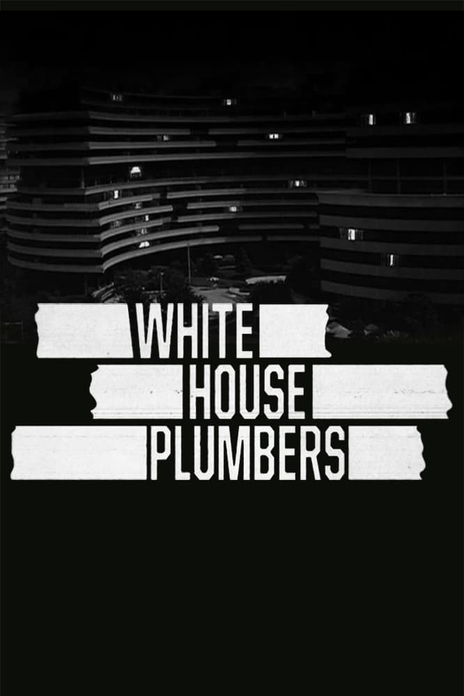 White House Plumbers TV Shows About Scandal