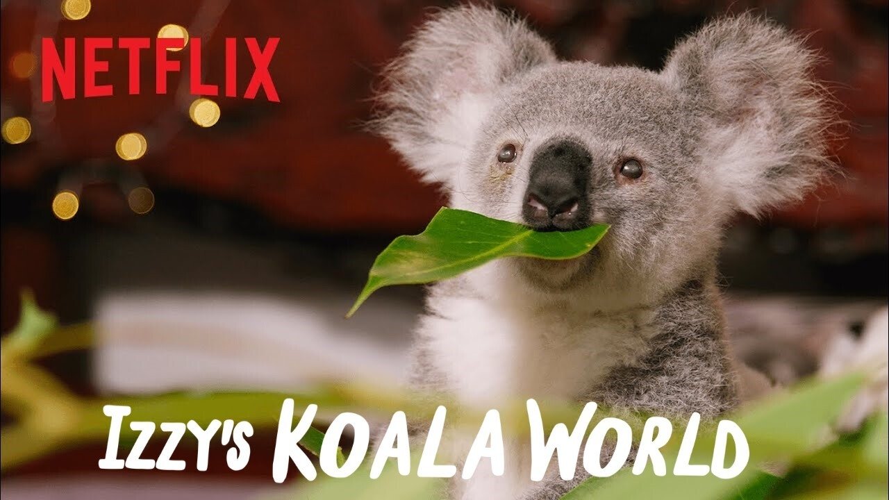 Izzy's Koala World
