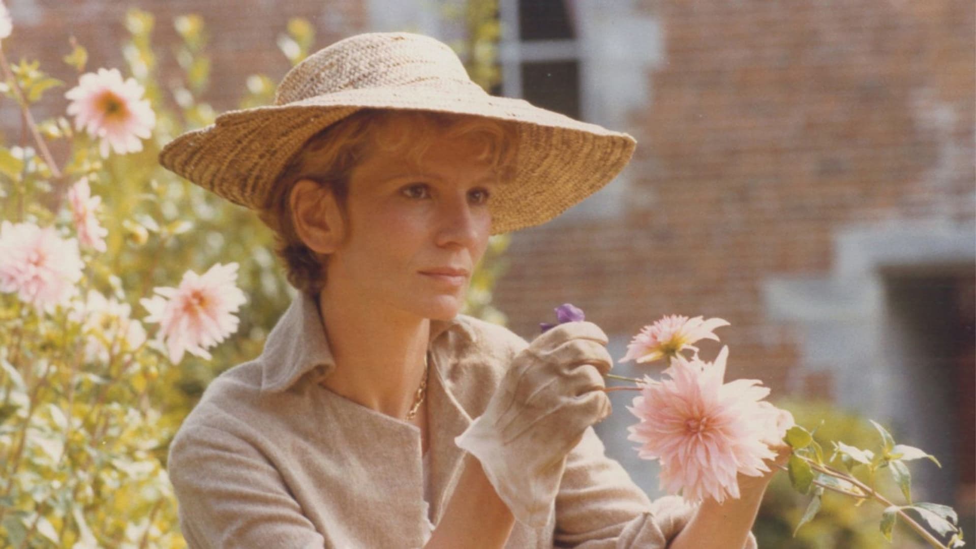 Les capricieux (1984)