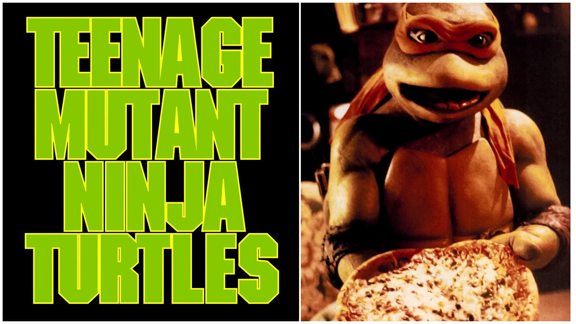 Teenage Mutant Ninja Turtles (1990)