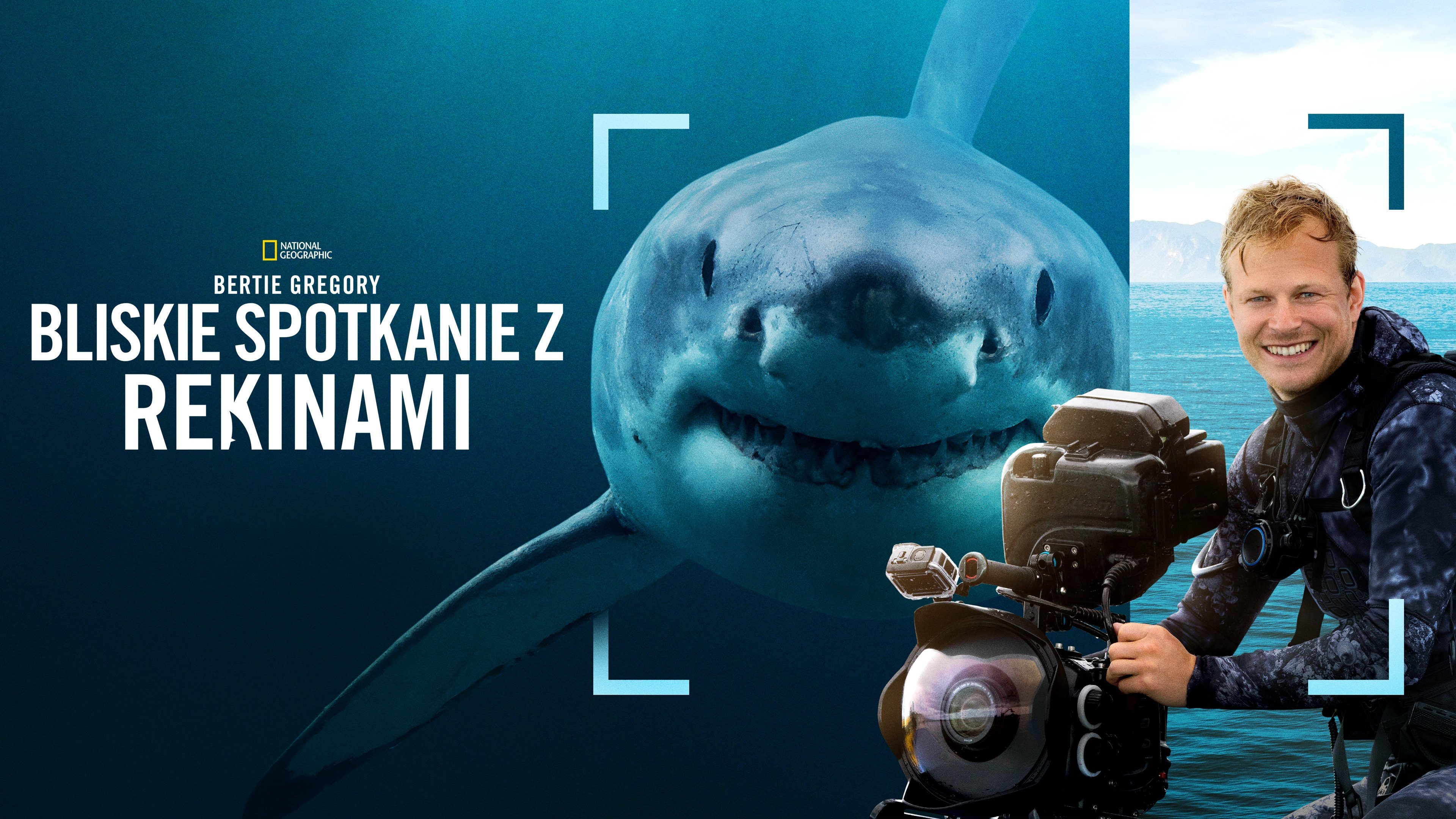 Sharks Up Close with Bertie Gregory backdrop