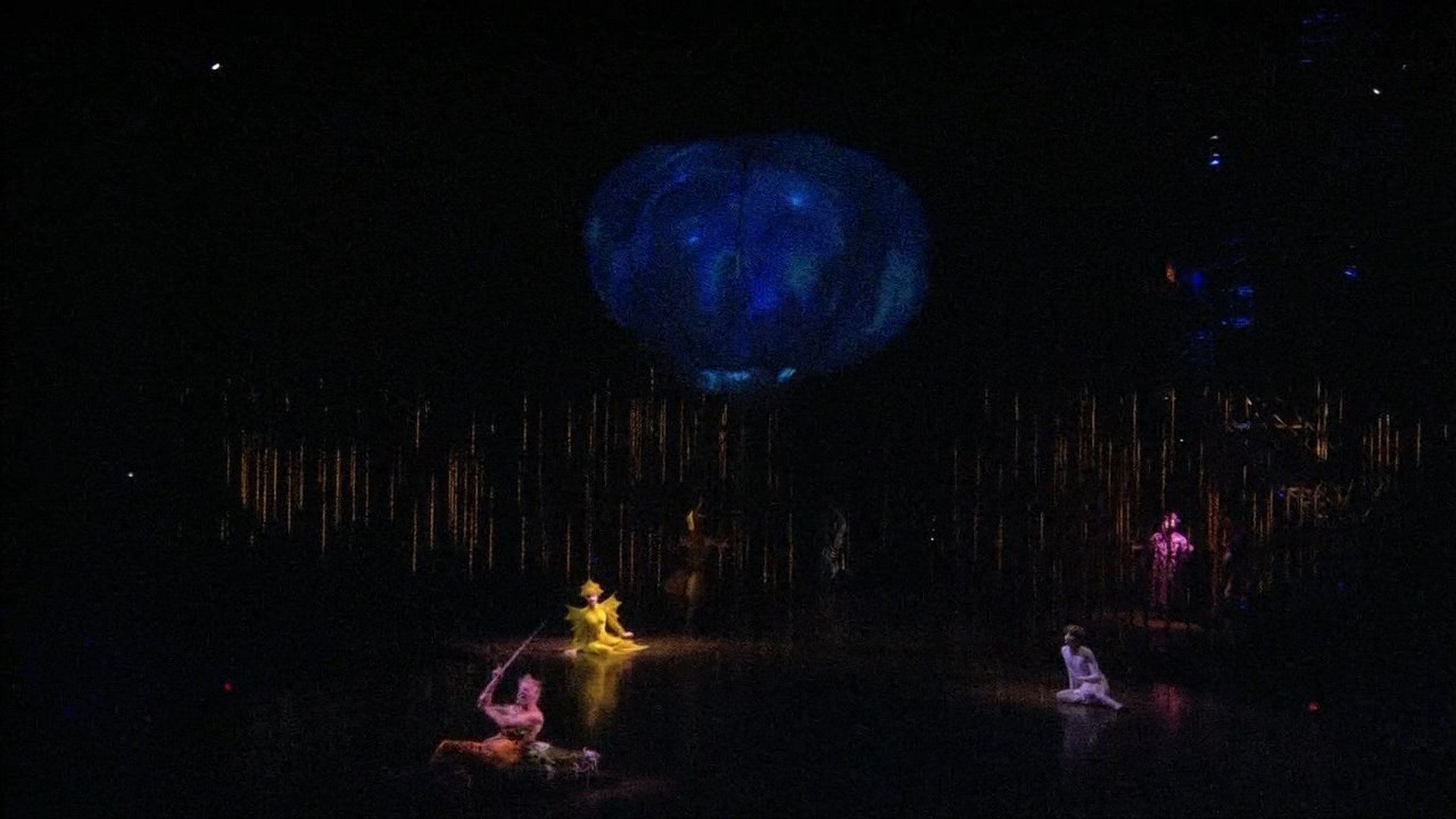 Cirque du Soleil: Varekai (2003)